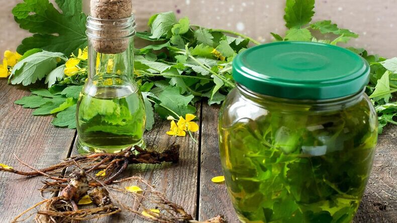 Celandine a popular remedy for the treatment of fungal infections on the legs. 
