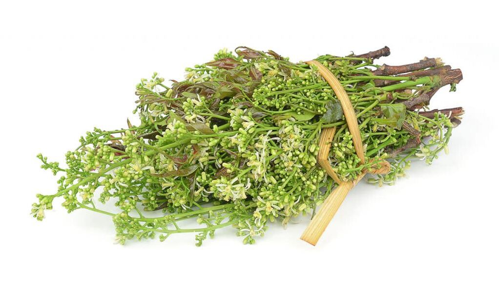 Medicinal herbs to get rid of onychomycosis. 